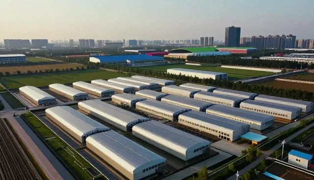 团队数字化发展如何驱动应用开发效率提升